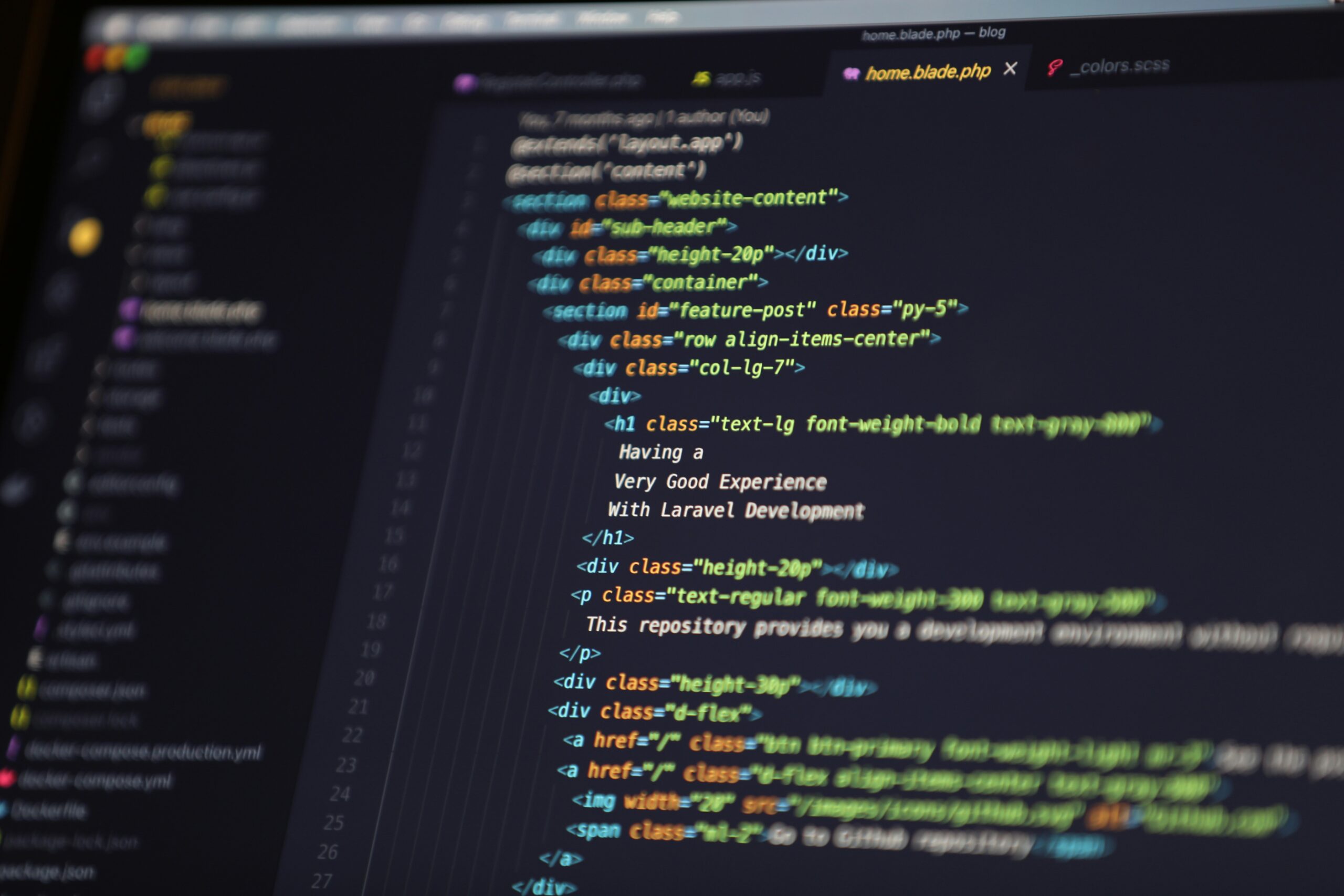 Software Development